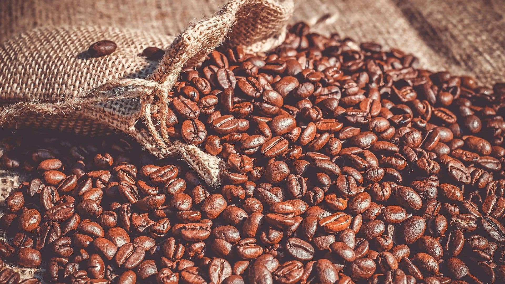 Brazilcima sad bliži Nemci nego Amerikanci: Rekordnu zarada od kafe