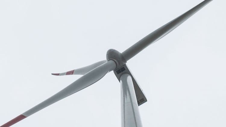 Vratili se nafti, sad plaćaju „danak“: SAD daje milijardu dolara Total enerži zbog gašenja vetroprojekata