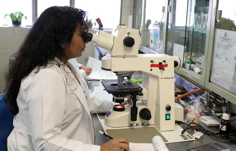Bajer napravio minus od 200 miliona ali se nada da će 12.000 otkaza pomoći