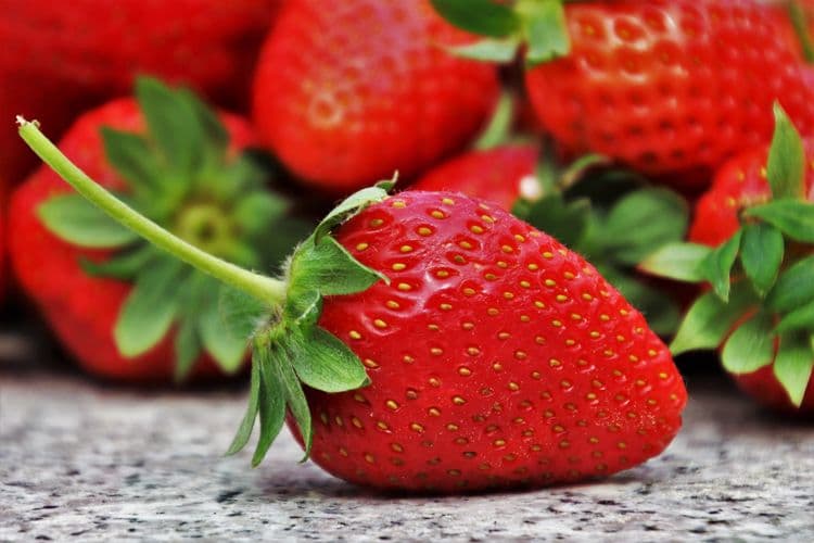 Evropske jagode na testu - pesticidi pronađeni u većini uzoraka