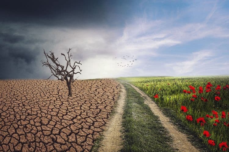 Korišćenje obnovljivog vodonika ključno za evropske ciljeve klimatske neutralnosti