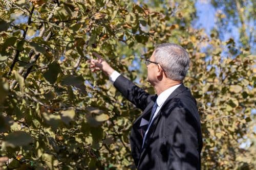 Učešće poljoprivrede u BDP-u 3,6%, izdvajanja za nju više nego duplo veća