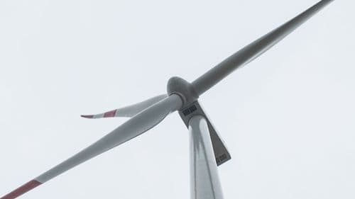 Vratili se nafti, sad plaćaju „danak“: SAD daje milijardu dolara Total enerži zbog gašenja vetroprojekata