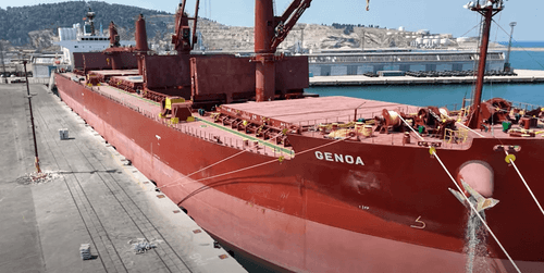 Blokada zbog radne reforme: Štrajk pomorskih radnika zaustavio isporuku žita iz Argentine