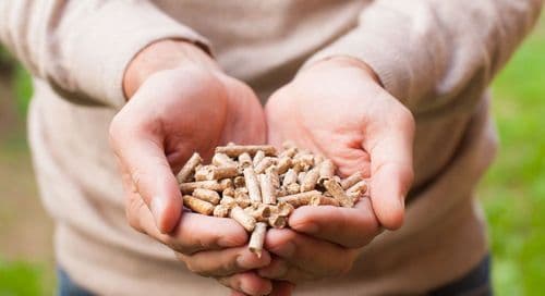 Žene u "muškom" biznisu: Same napravile fabriku peleta